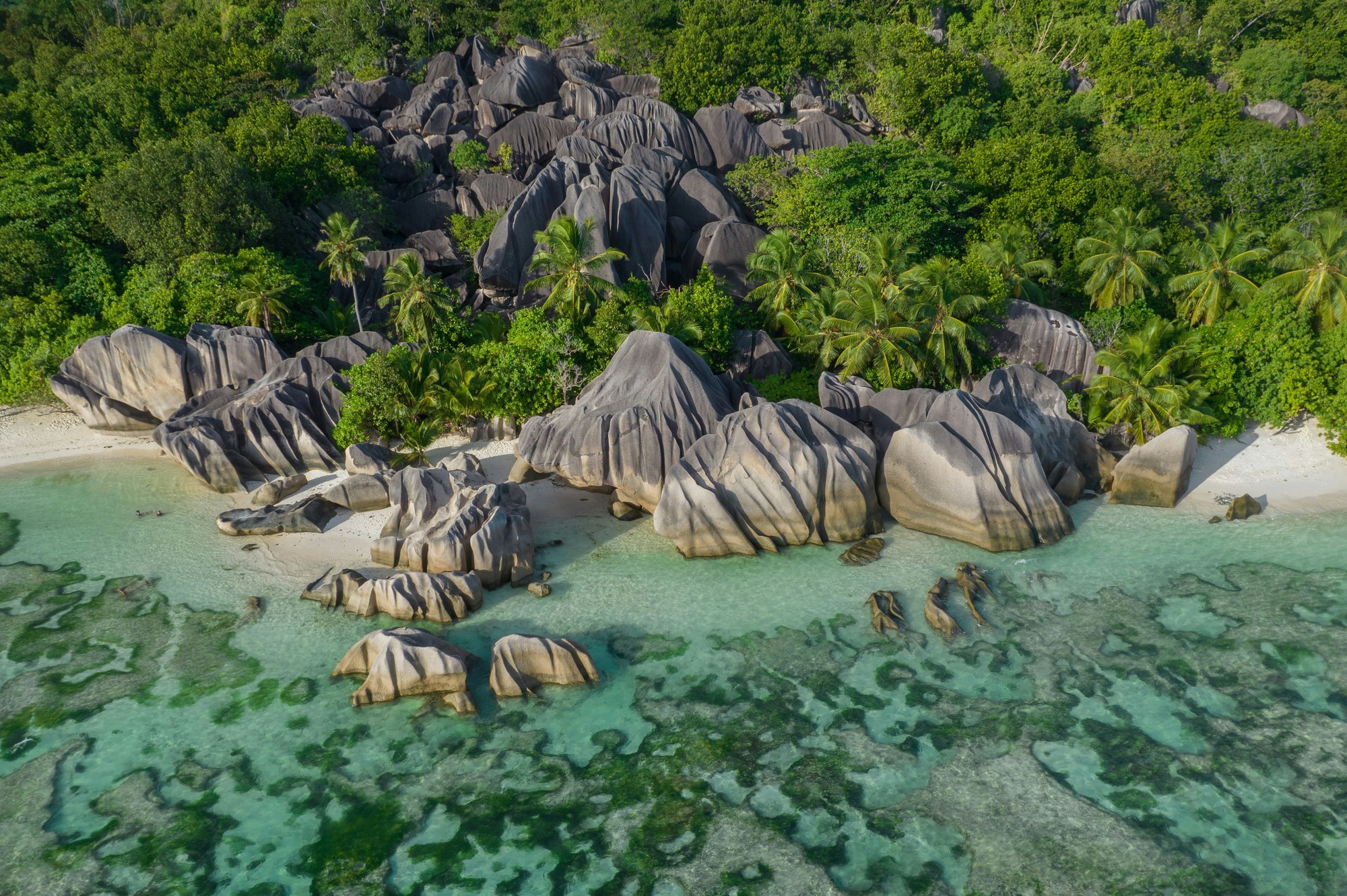 Remote tropical island sanctuary
