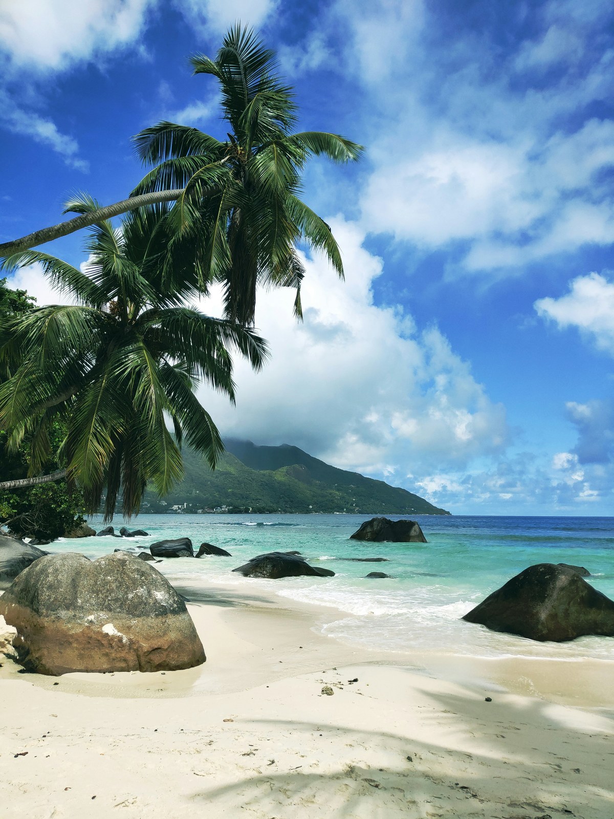Tropical beach with granite boulders and palm canopy — private wellness setting
